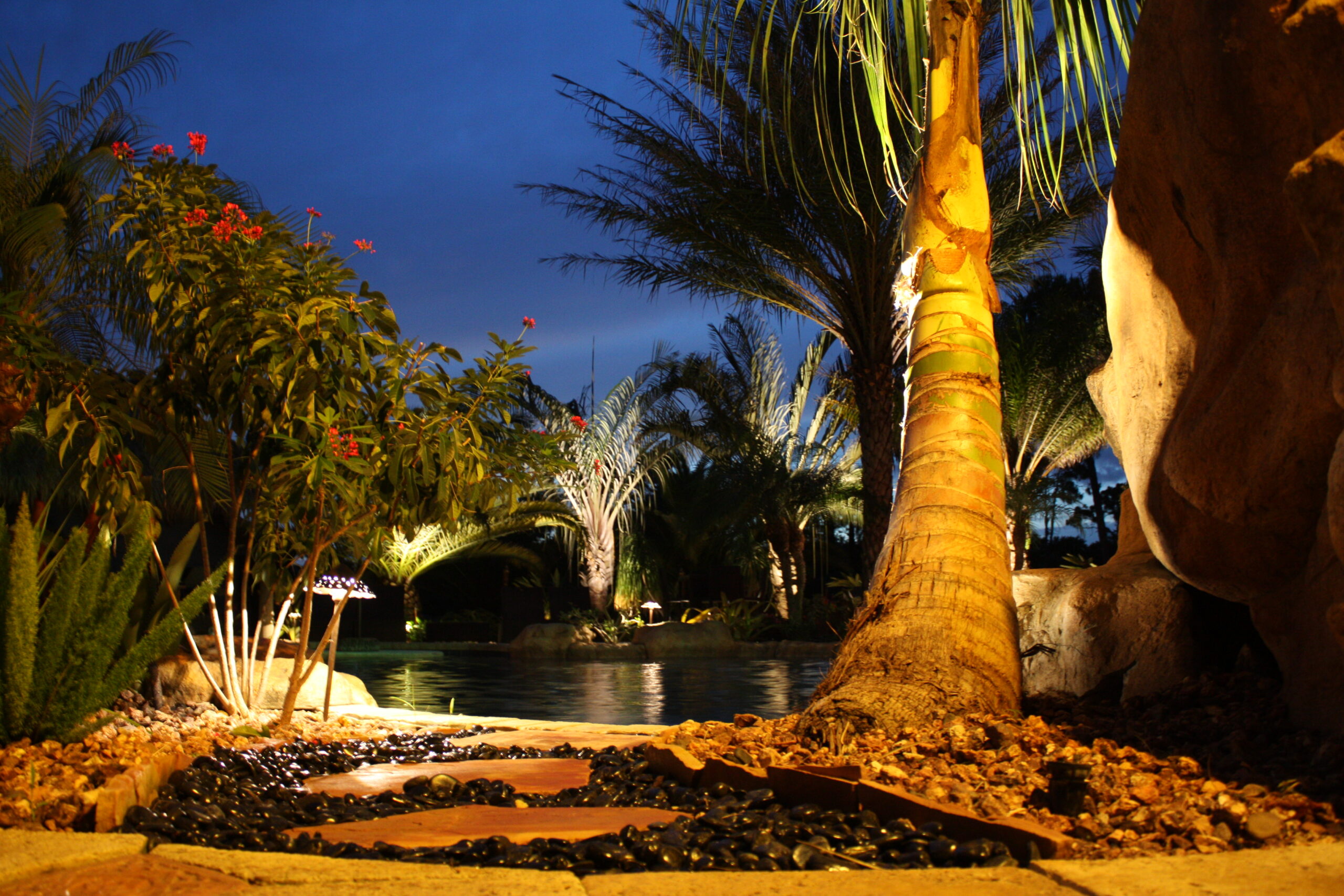 A serene nighttime garden scene with illuminated palm trees and a calm pond.